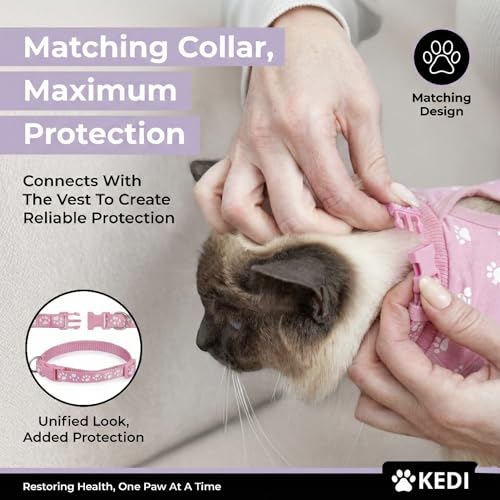 Kitten Recovery Suit Female After Spay (Pink / Small)