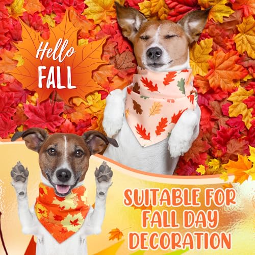 50 Pcs Thanksgiving Fall Dog Bandanas Bulk Pumpkin Maple Leaves Autumn Bandanas for Bibs Adjustable Scarf for Small Medium Large Pets Cats Costume (Leaves Pattern / 31.5 x 21.7 x21.7 Inch)