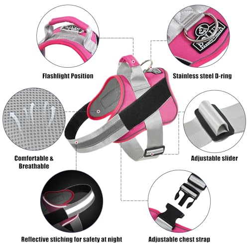 Dog Harness No (X-Small (Pack of 1) / Fuchsia)