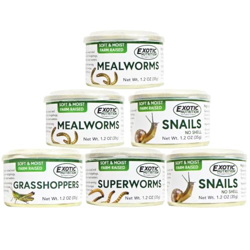 Canned Insect Assortment 6 Pack