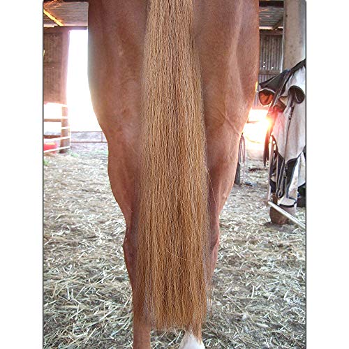 Horse Tail Extensions with Braided Horsehair Loop (1/2 Pound (34"-36") / Mixed Brown)