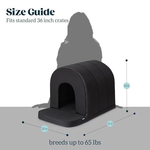 Orthopedic Dog House (35"L x 22"W x 23"Th / Black)