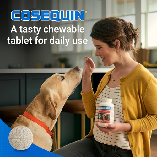 Nutramax Cosequin Joint Supplement for Dogs (250 count / MSM)