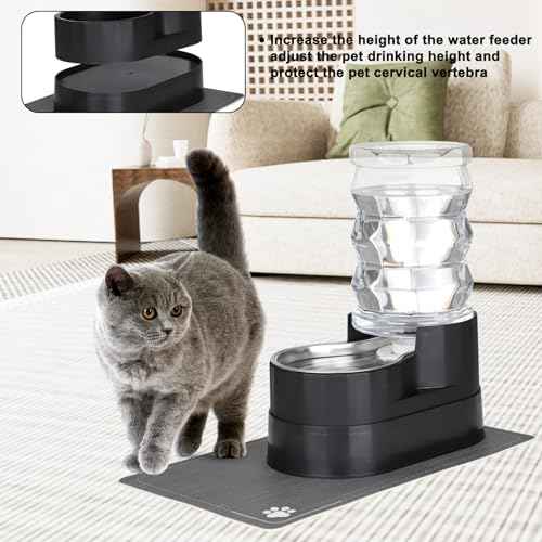 7L Elevated Dog Water Dispenser (7L / Black)