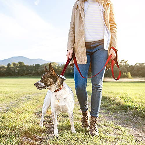 5FT 1IN Heavy Duty Dog Leash for Large Dogs with 2 Padded Handles (Red / 1 in x 5 ft)