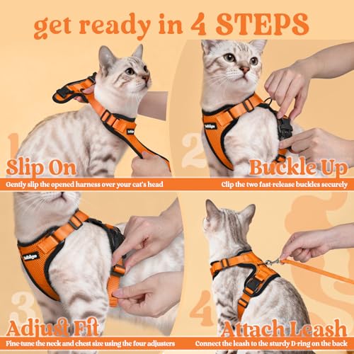 Cat Harness and Leash Set (M / Orange)