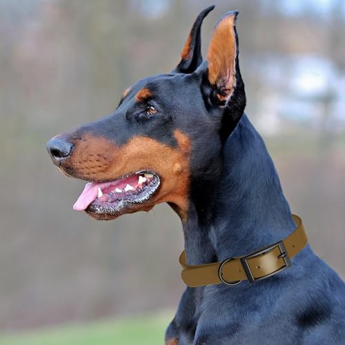 Biothane Waterproof Dog Collar Strong Coated Nylon Webbing with Black Hardware Odor (W1/2" x L9-12" / Coyote Brown)