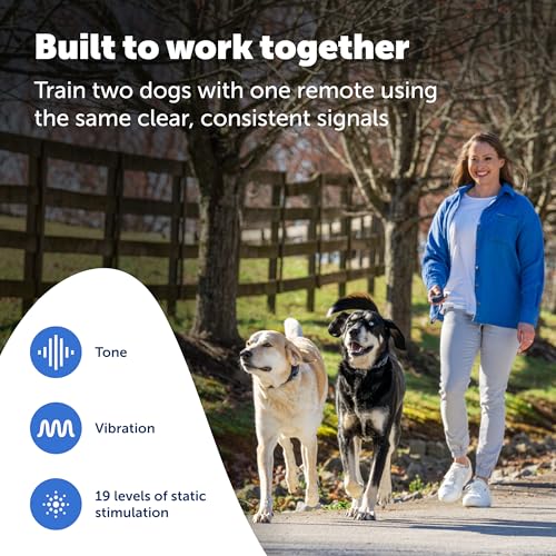 Pro Dog Trainer (2-Dog Trainer)