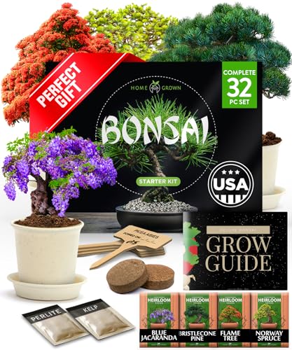 Bonsai Tree Starter Kit