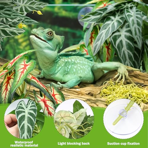 2 Pack Reptile Plants for Terrarium
