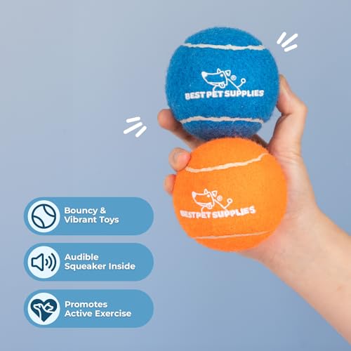 Interactive Squeaky Dog Chew Toy (Tennis (Assorted Color) / Large (Pack of 2))