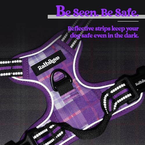 Dog Harness No Pull for Small Dogs with 2 Leash Clips (Small / Purple Plaid)