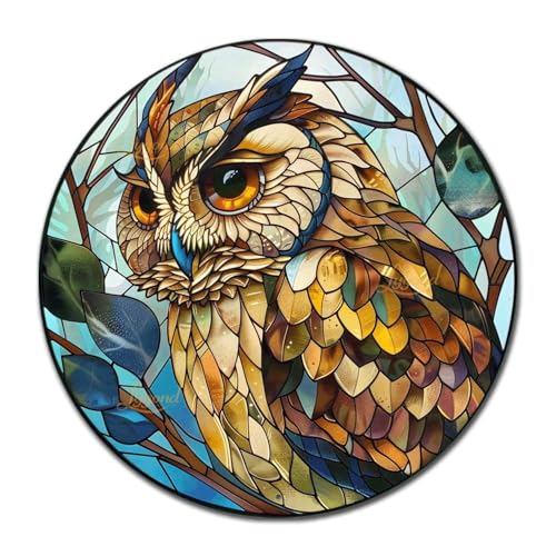 Metal Sign Tin Sign Circular Stained Glass Owl Vintage Metal Sign for Pet 8×8 Inches (8×8 Inches / Owl-3)