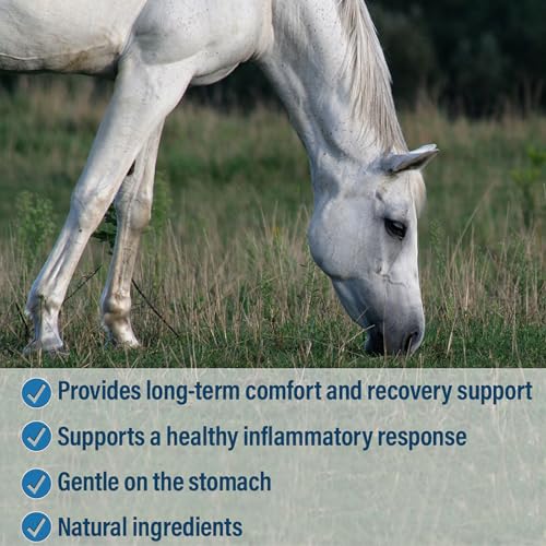 Bute Less Comfort & Recovery Support Supplement (160 oz)