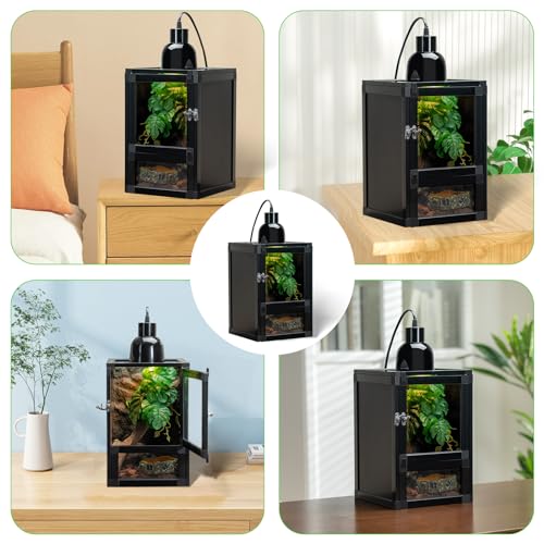 8" x 8" x 12" Reptile Terrarium 5