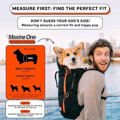 Maxine One Dog Backpack Carrier for Medium Dogs (Gray)