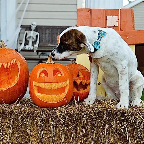 10 Pack Dog Bowties Halloween for Large Dogs Sliding Collar (M/L)