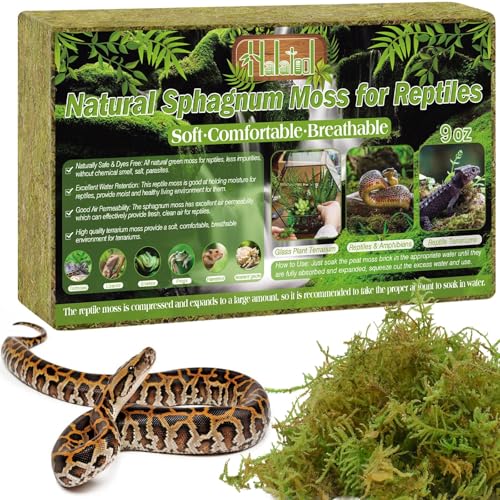 9 OZ Sphagnum Moss for Reptiles (9OZ)