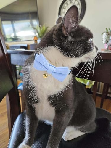 2 Pack Soft Corduroy Cat Collars with Bow Tie & Bell Adjustable Breakaway Kitten Bowtie Collar for Female Male Cats (S:Neck 7.0" - 11.0" / Corduroy-White Blue)