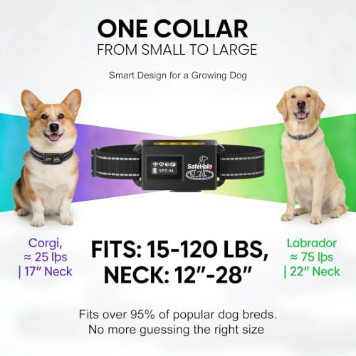 GPS Dog Collars for 2 Dogs