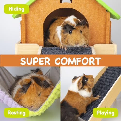 3 in 1 Enlarged Guinea Pig Hammock with House & Platform (Hammock with ramp & house)