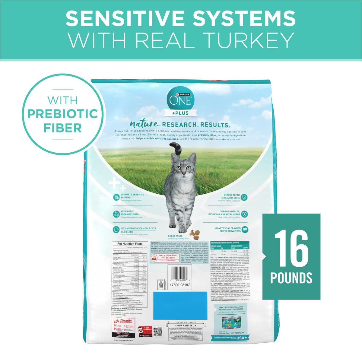 Sensitive Skin and Stomach Dry Cat Food 16 lb Bag (16 Pound (Pack of 1))