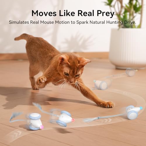 Interactive Cat Toys for Indoor Cats (Mouse Neo-Blue)