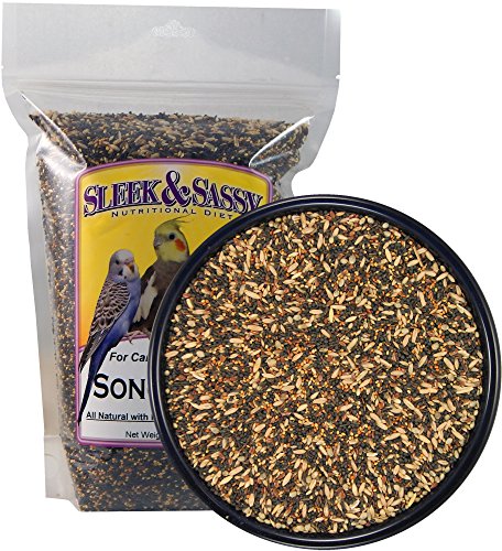 Song Bird Treat for Finches and Canaries (2 Pound (Pack of 1))