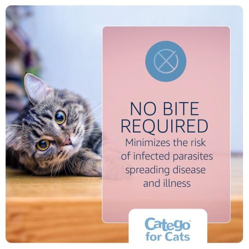 Flea and Tick Prevention for Cats (3-Month Supply)