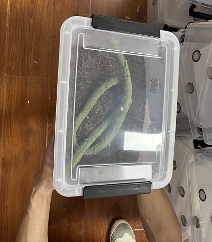 2pcs Large Reptile Feeding Box Snake Breeding Box Plastic Reptile Tank for Sling
