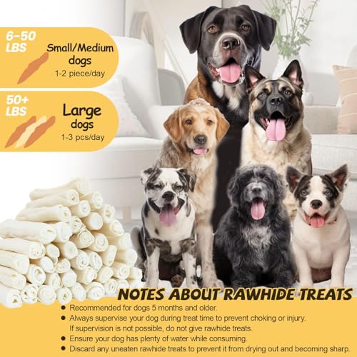 Dog Treats Bones