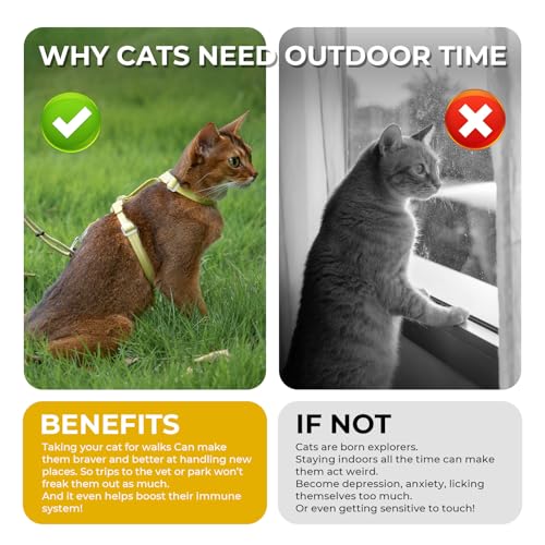 Cat Harness and Leash Set (Yellow)