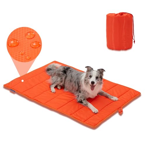 Travel Dog Bed (Orange / X-Large)