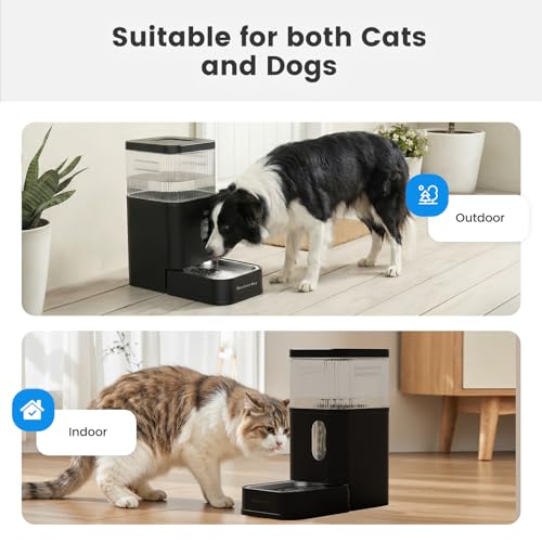 2.9 Gallon Automatic Dog Water Dispenser with Stainless Steel Bowl (Black / 2.9 Gallon)