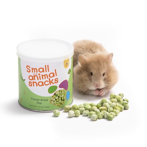 Hamster Snack & Treats Toy