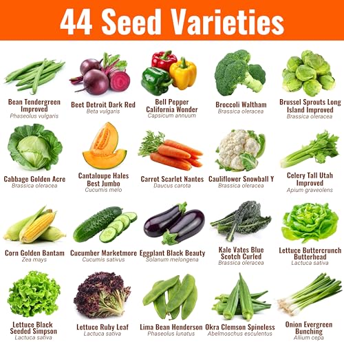 Vegetable Fruit & Herb Seeds