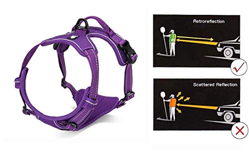 Truelove No Pull Dog Harness with Easy Control Handle and 2 Leash Attachments (Medium / purple)