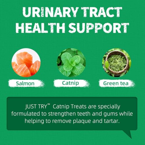 13.4 OZ Crunchy Cat Treats Catnip Treats for Cats with Digestive Support