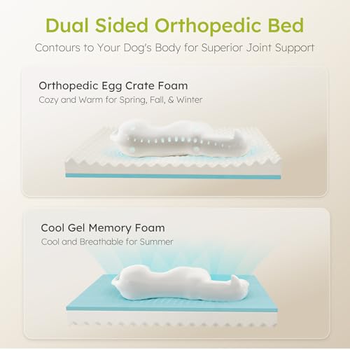 XXL Dog Bed for Extra Large Dogs (Light Grey / X-Large(53"L x 42"W x 9.5"Th))