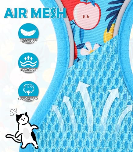 Cat Harness and Leash Set[MAX Safety 4th (H603 Pro Azure Floral / X-Small (4-6lb))