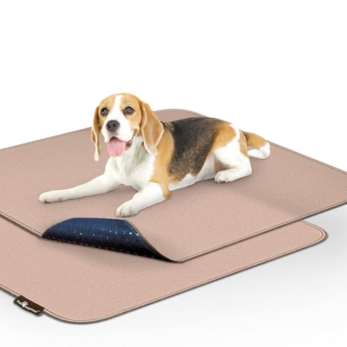 Washable Pee Pads for Dogs (32x30" (2 pack))