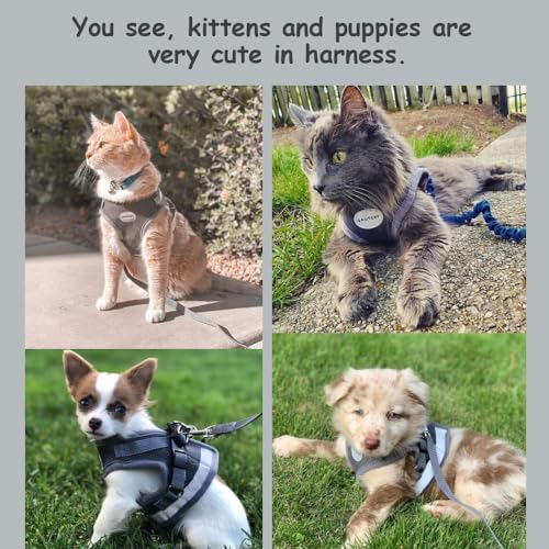 Cat Harness and Leash Set (S (Chest: 9" - 11") / DarkGrey)