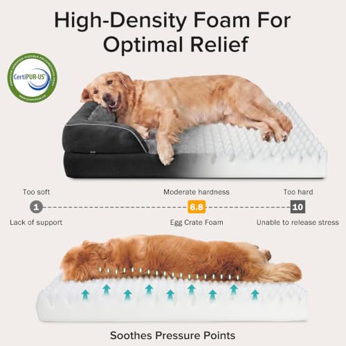 L Plus Orthopedic Dog Bed for Large Dogs (Black / L- PLUS (38"x 28"x 7"))