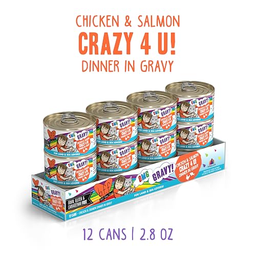 B.F.F. OMG Best Feline Friend Oh My Gravy! Grain (2.8 Ounce (Pack of 12))