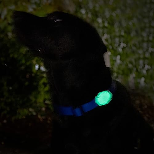AirTag Dog Collar Holder (2 Pack (Glow in the Dark))