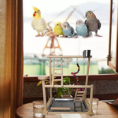 Small Bird Playground Parakeet Play Gym Wooden Parrot Perch Stand