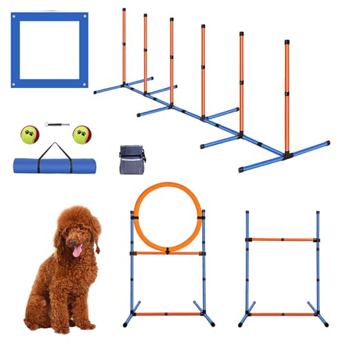 Dog Agility Equipment Set
