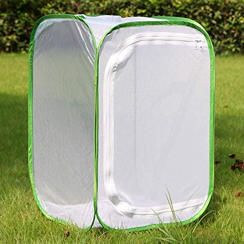 Insect and Butterfly Habitat Cage Terrarium Pop (White With Green / 15.7 x 15.7 x 23.6 inches)