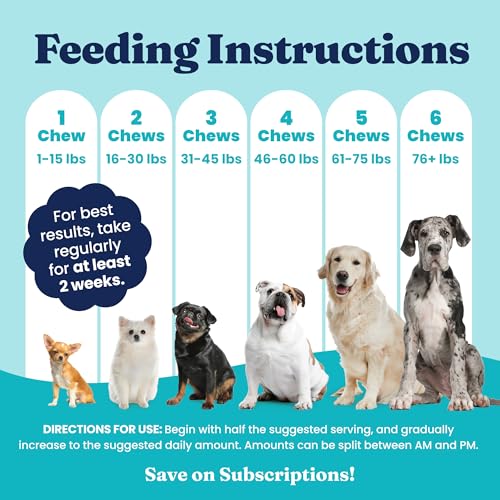 Calming Chews for Dogs with Melatonin for Storms & Travel (60 Count)