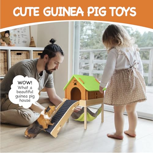 3 in 1 Enlarged Guinea Pig Hammock with House & Platform (Hammock with ramp & house)